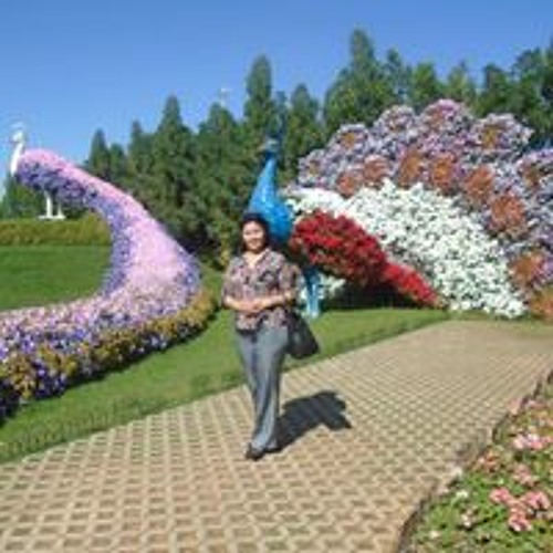 Nargis Kosimova’s avatar