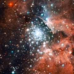 Prohibited Conscious