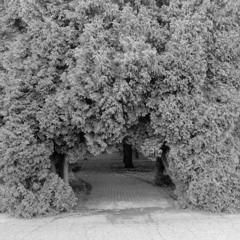 Не только грусть