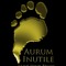 AURUM INUTILE