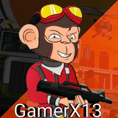 GamerX13 GamerX13