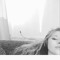 User 275356467