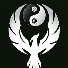 PhoenixYinYang