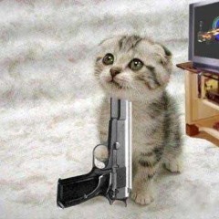 Suicide Cat