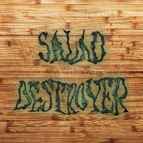 Salad Destroyer’s avatar