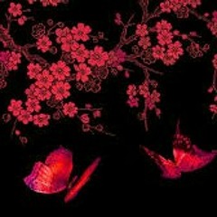 Napatsorn Sirisoontorn