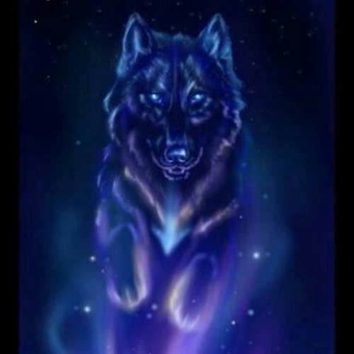 Night_Killer Wolf’s avatar