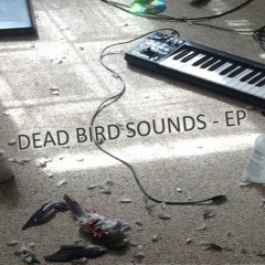 Dead Bird Sounds