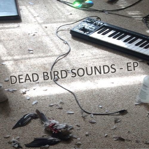 Stream Dead Bird Sounds music | Listen to songs, albums, playlists for