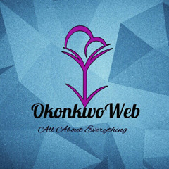 Okonkwo Web