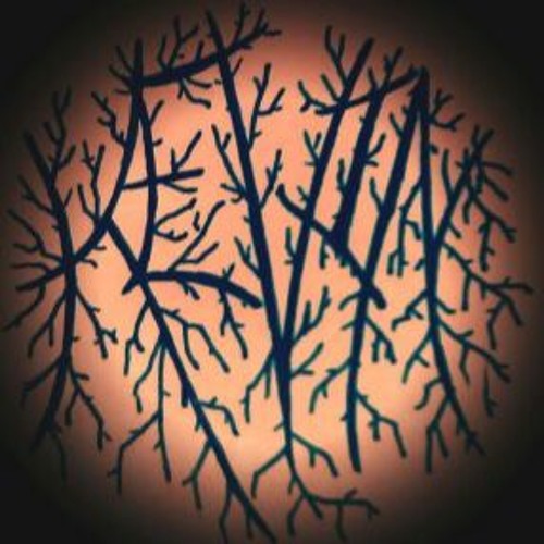 Stream Cover Your Tracks by KEVIN Listen online for free on SoundCloud