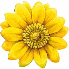 Heilpraktikerschule Isolde Richter