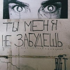 Зебра Литарник