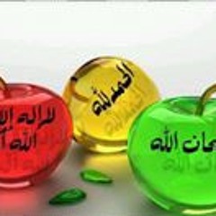 Hanaa Elbanna