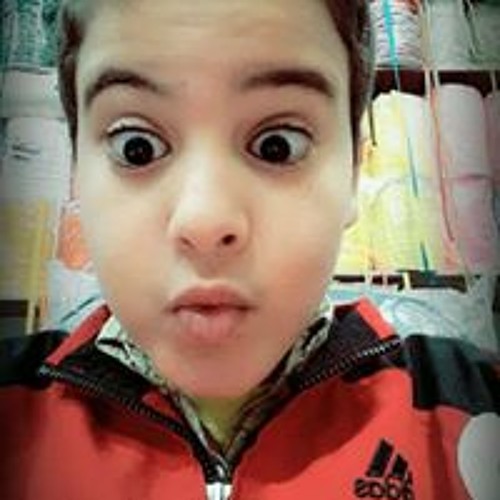 Ana Seif Sedaie’s avatar