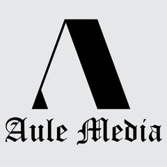Aule Media