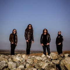 Buffalo Summer Official