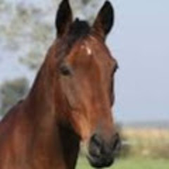 Halo 3 Original Soundtrack - One Final Effort Extended Version