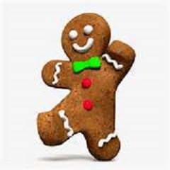 Gingerbread Player