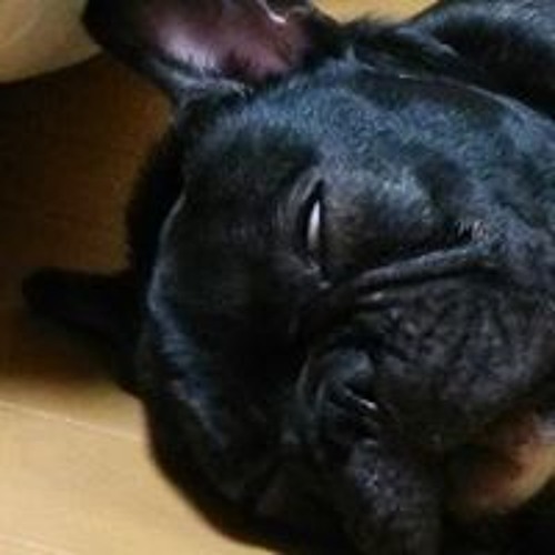 佐々木 真一 S Stream