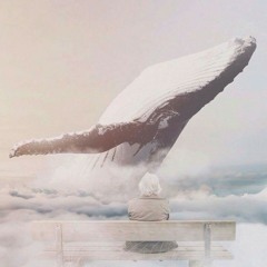 Daniela Andrade - Gentlemen