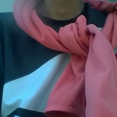 Soye