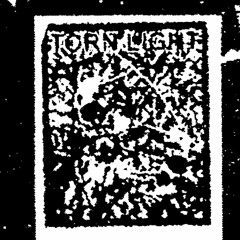 Torn Light