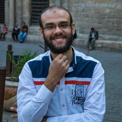 Ahmed Hafez Kotb