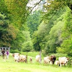 Rachel Louise Berggren