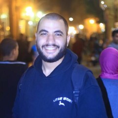 michael bahgat