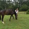 bmclare02