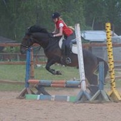 The Royal Tenenbaums