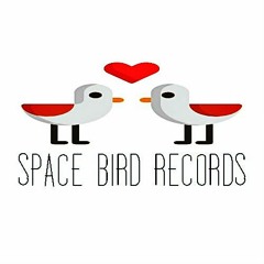 Space Bird Records
