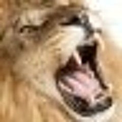 muchamed