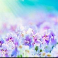 ابو بكر الشاطري