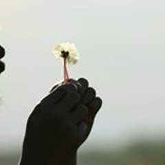 Muhammad Irza Fahmirudin