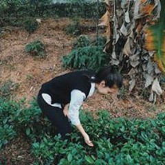 Phạm Ngọc Quyên