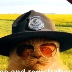 officercat