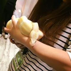 Mk Nkzt