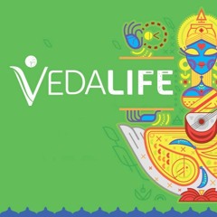 Vedalife.Pro