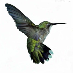 Running After Ghost Enemies (RAGE)