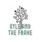Kyle and the Frame