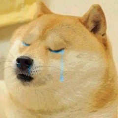 le Doge