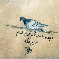 SoHila Diaa