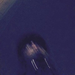 BLXW(3minsfrm8)