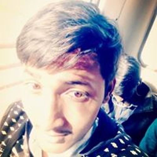 Ankit Raj’s avatar