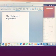 The High School Experience.