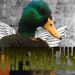 Vaper Ducky500