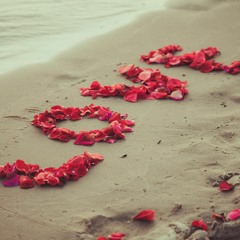 Melodical Songbird Songstress