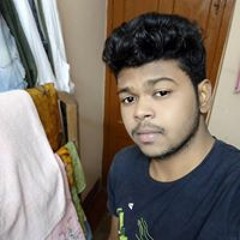 Rabindranath Ray